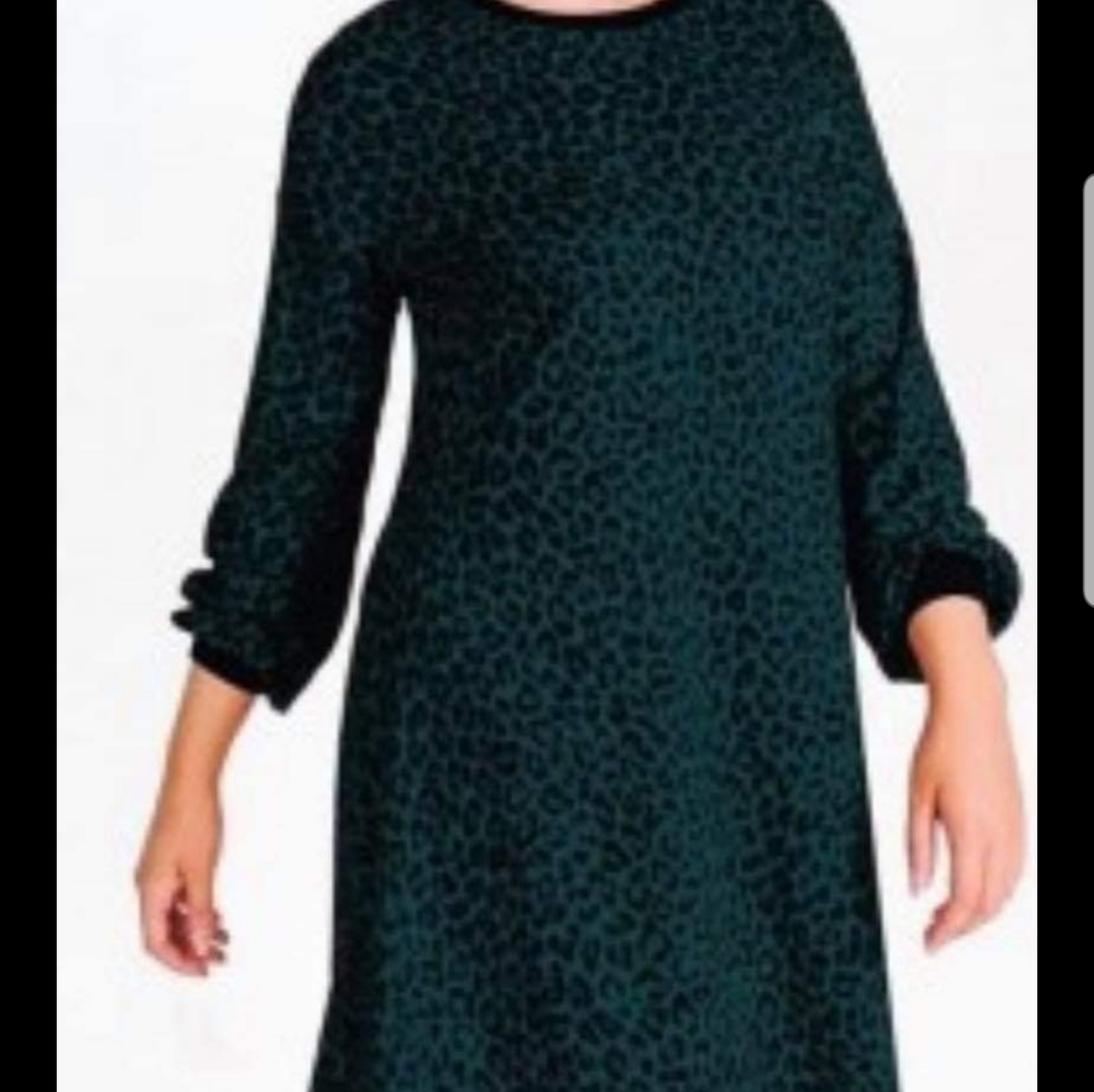 Crescent Drive Cheetah bell sleeve Dress